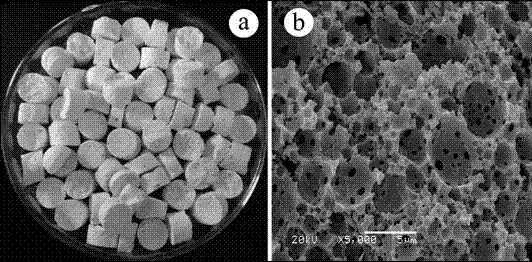 Porous foam body heavy metal adsorption material preparation method