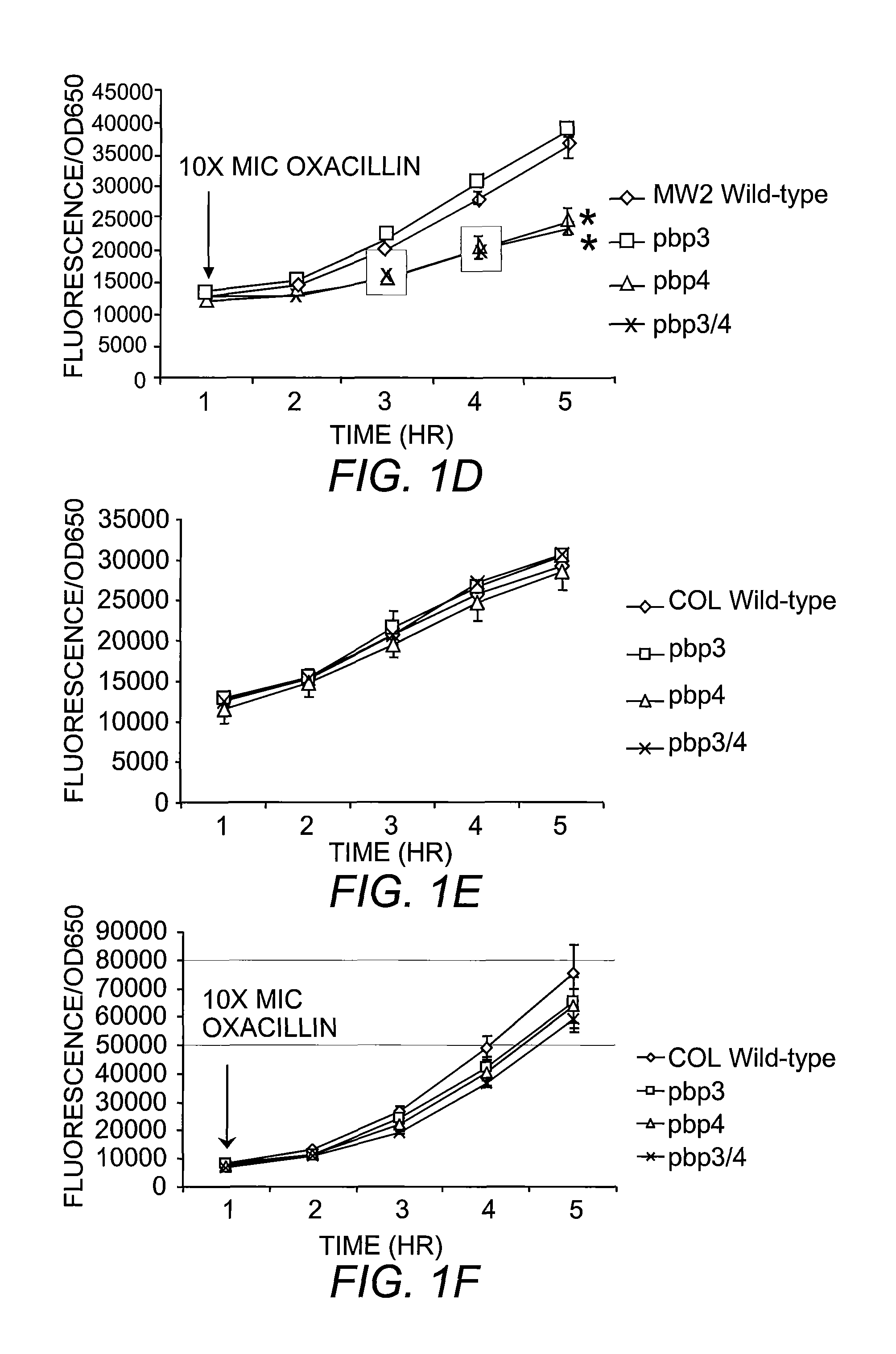 Compositions and methods for diagnosing and treating community-acquired methicillin-resistant <i>Staphylococcus aureus</i>