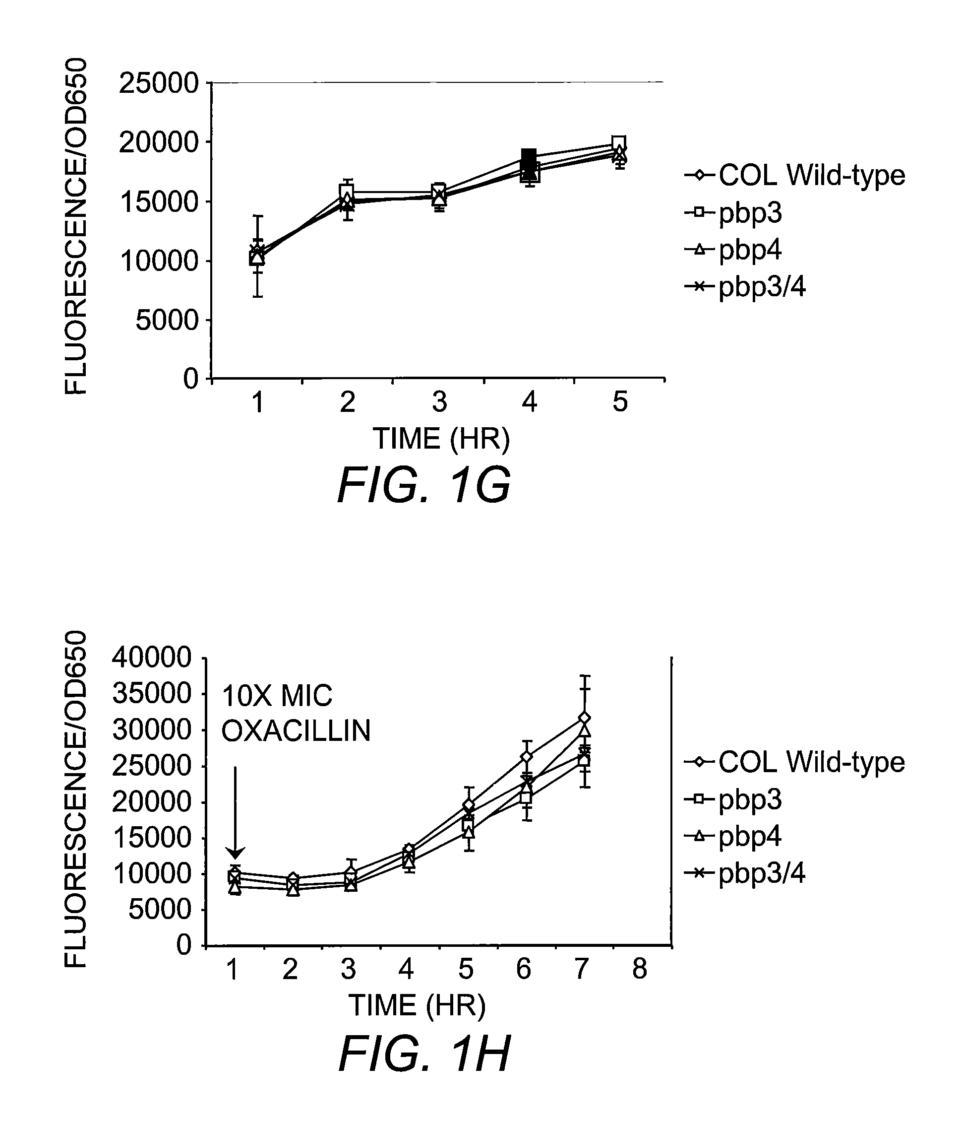 Compositions and methods for diagnosing and treating community-acquired methicillin-resistant <i>Staphylococcus aureus</i>