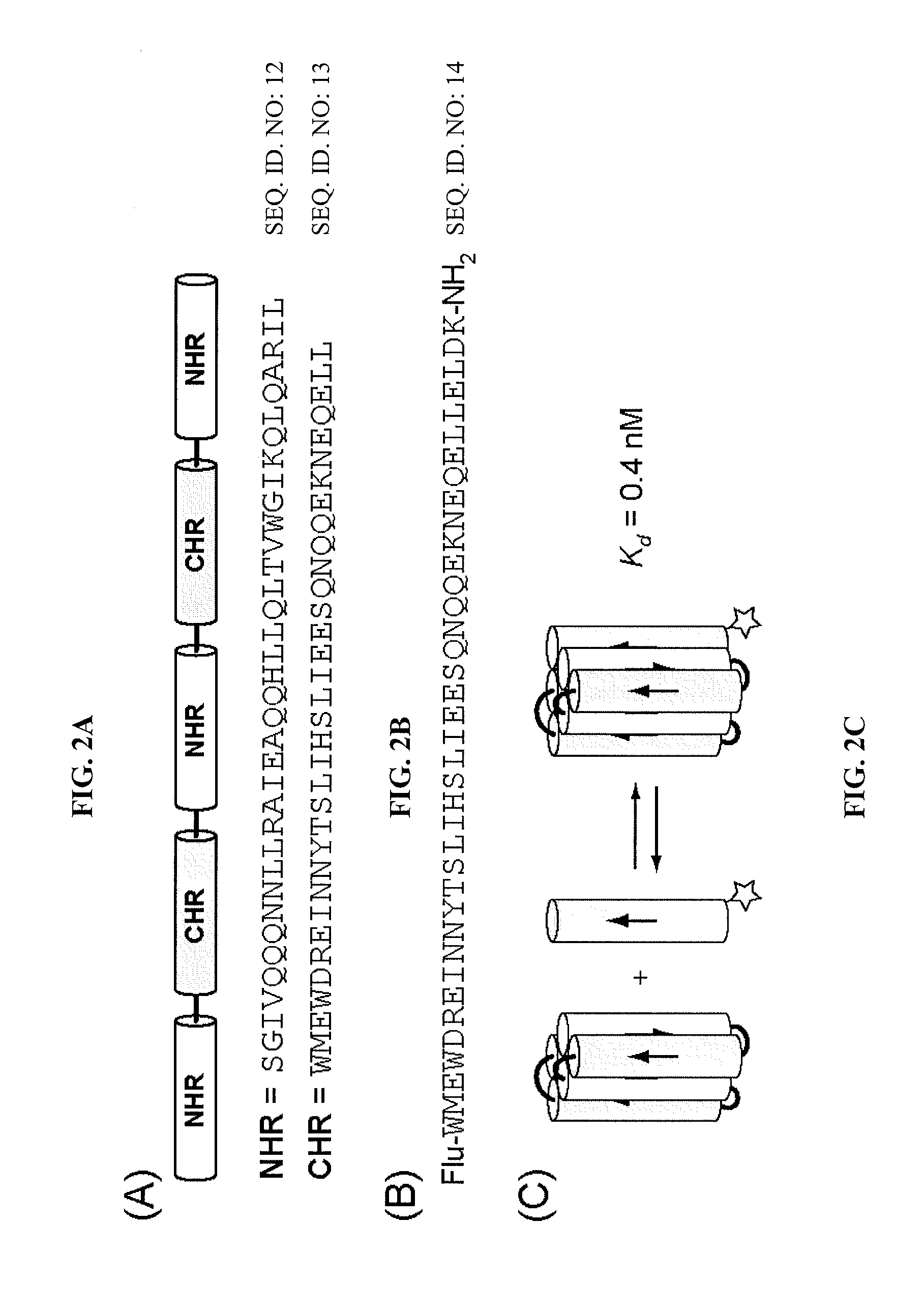 Method of making biologically active alpha-beta peptides