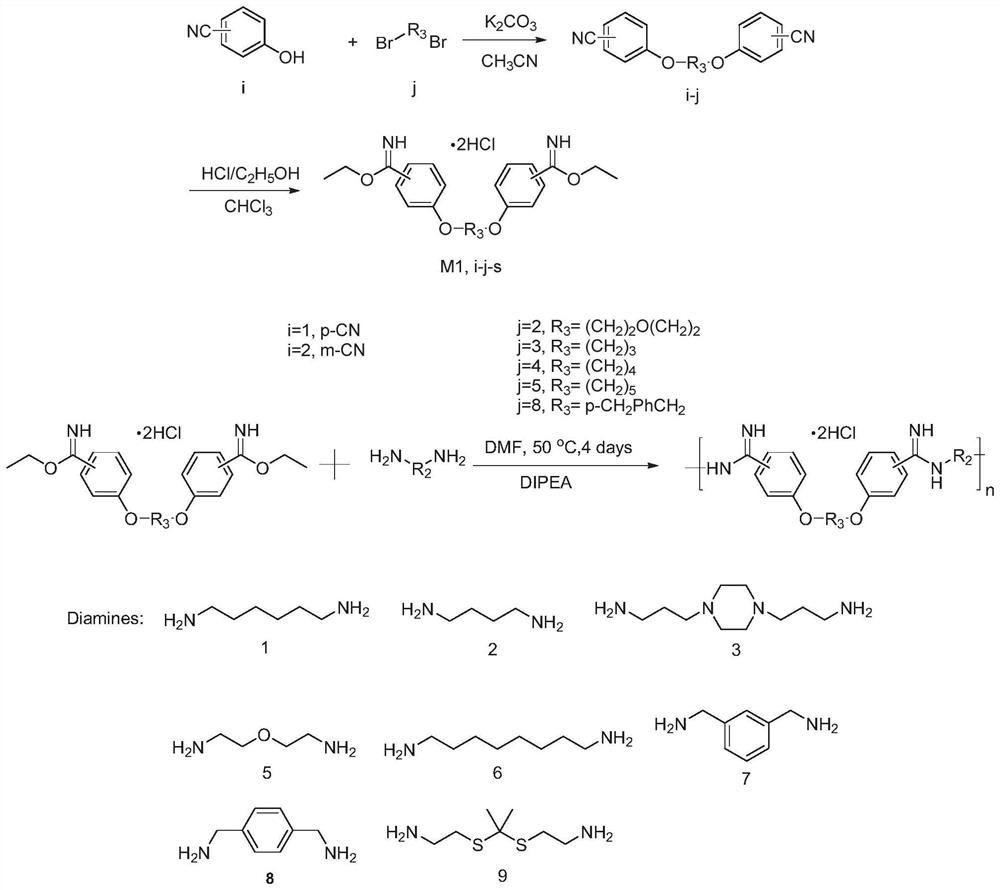 Anti-drug-resistance antibacterial amidine oligomer as well as preparation method and application thereof