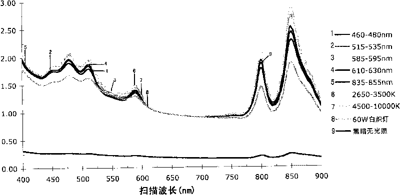 Bio-hydrogen production method by photosynthetic bacteria