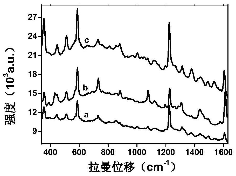 A rapid detection method for dioxin-like pollutants based on enhanced Raman spectroscopy