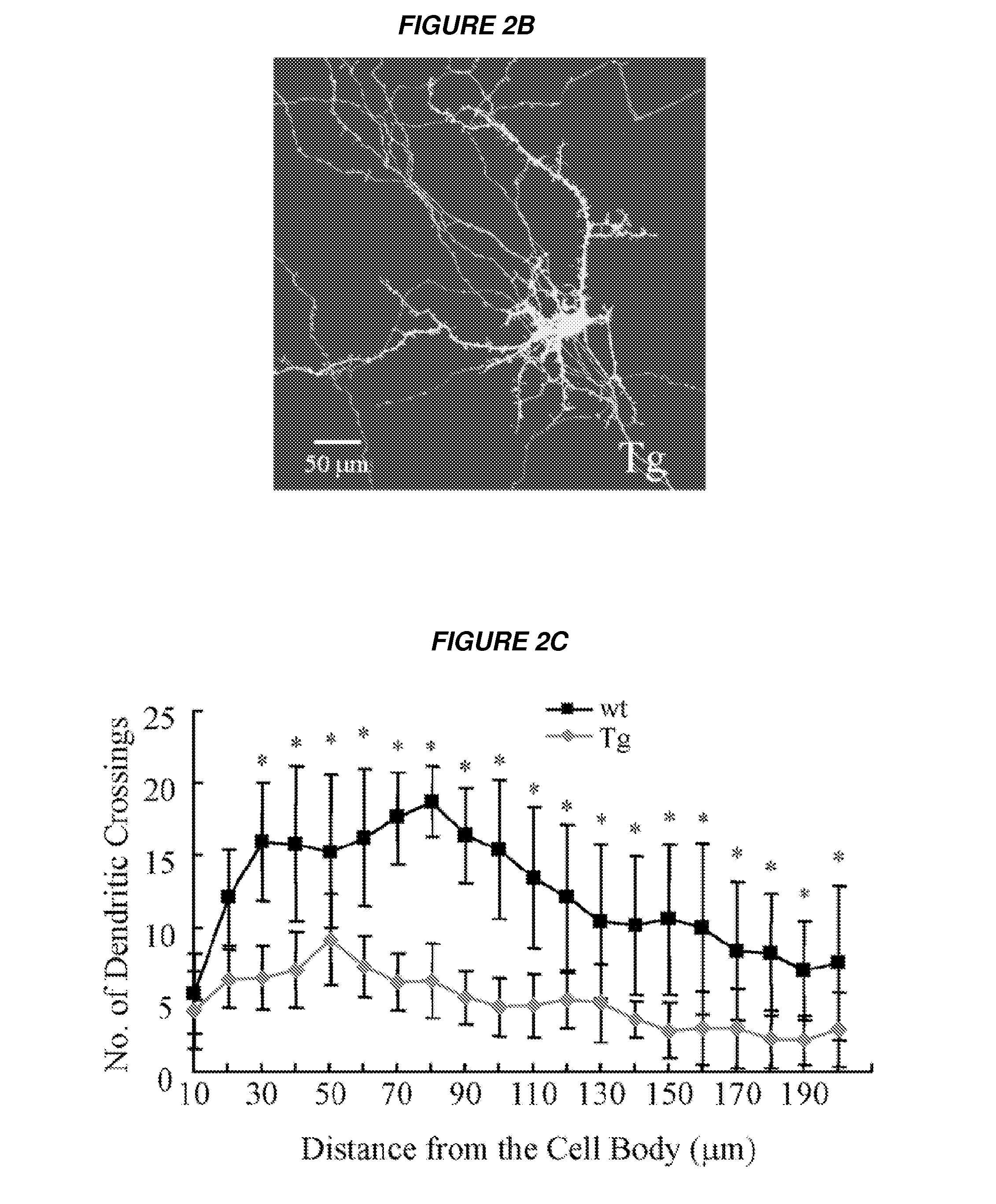 Methods to inhibit neurodegeneration