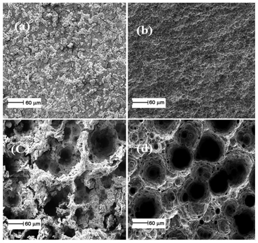 Processing method of high-strength, corrosion-resistant and fatigue-resistant nano/ultra-fine grain 304 stainless steel