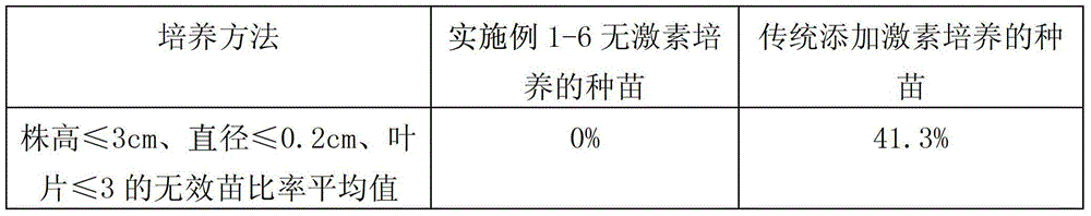 Hormone-free tissue culture and rapid propagation method of anoectochilus formosanus seedlings