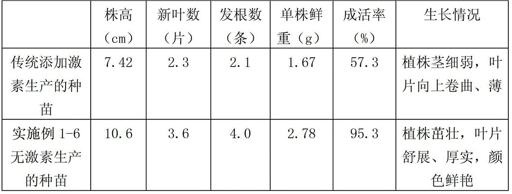 Hormone-free tissue culture and rapid propagation method of anoectochilus formosanus seedlings