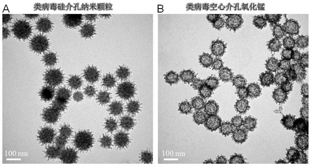 Virus-like hollow manganese oxide loaded near-infrared two-b region excited rare earth nanocrystal as well as preparation method and application thereof