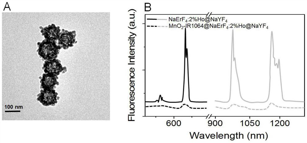 Virus-like hollow manganese oxide loaded near-infrared two-b region excited rare earth nanocrystal as well as preparation method and application thereof