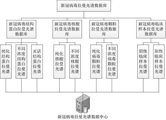 Construction method of novel coronavirus Raman spectrum data center