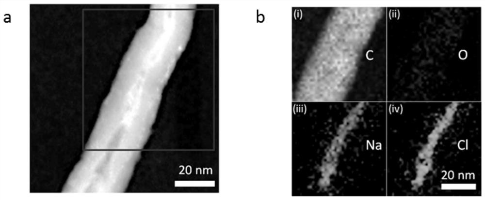 An ion collection method based on carbon-based materials