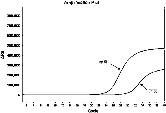 Fluorescent PCR (Polymerase Chain Reaction) detection kit for IDH1/IDH2 (isocitrate dehydrogenase 1/isocitrate dehydrogenase 2) gene mutation and application thereof