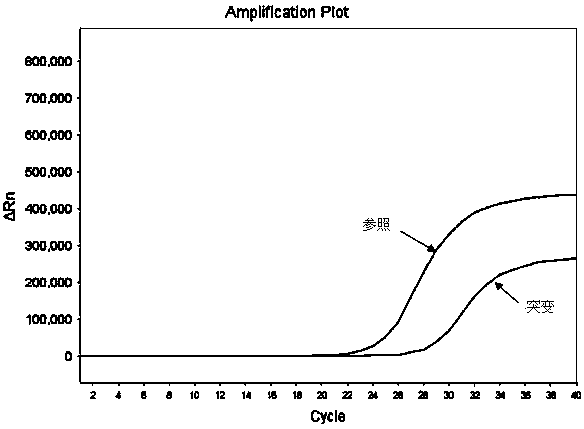 Fluorescent PCR (Polymerase Chain Reaction) detection kit for IDH1/IDH2 (isocitrate dehydrogenase 1/isocitrate dehydrogenase 2) gene mutation and application thereof