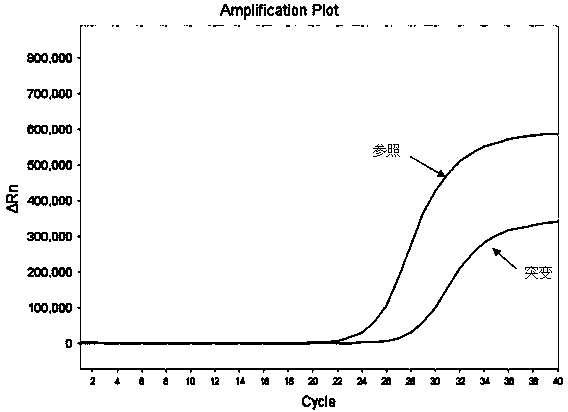 Fluorescent PCR (Polymerase Chain Reaction) detection kit for IDH1/IDH2 (isocitrate dehydrogenase 1/isocitrate dehydrogenase 2) gene mutation and application thereof