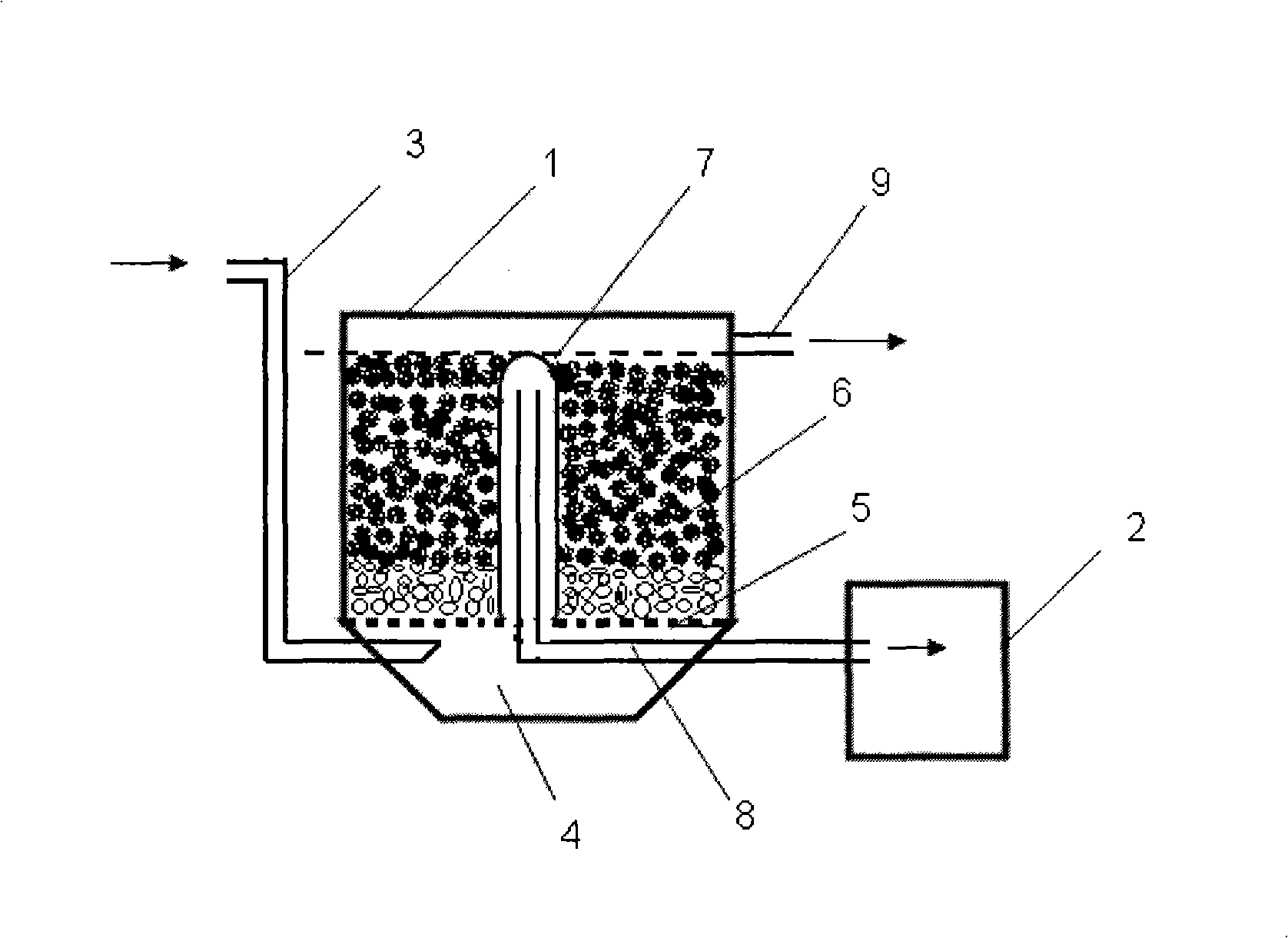 Unpowered bio-filter water purifying system with oxygenation and backwash functions