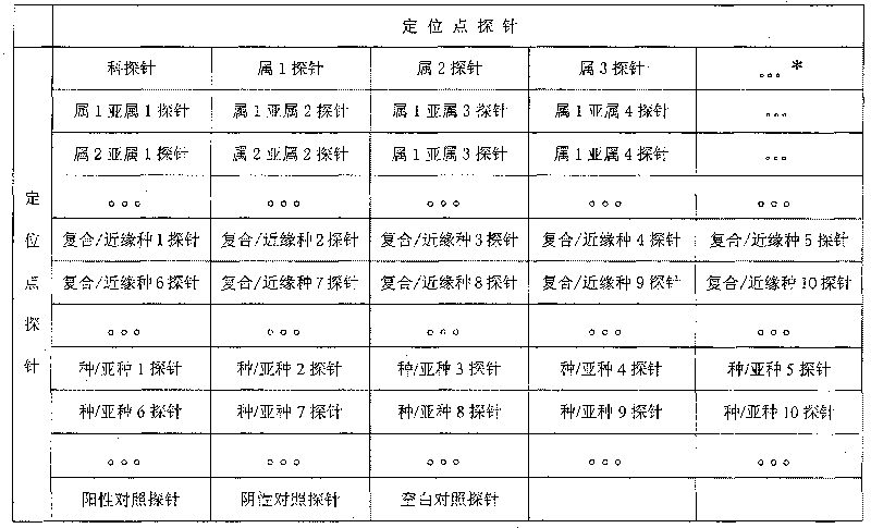 Method for classifying and identifying insect utilizing molecule searching table