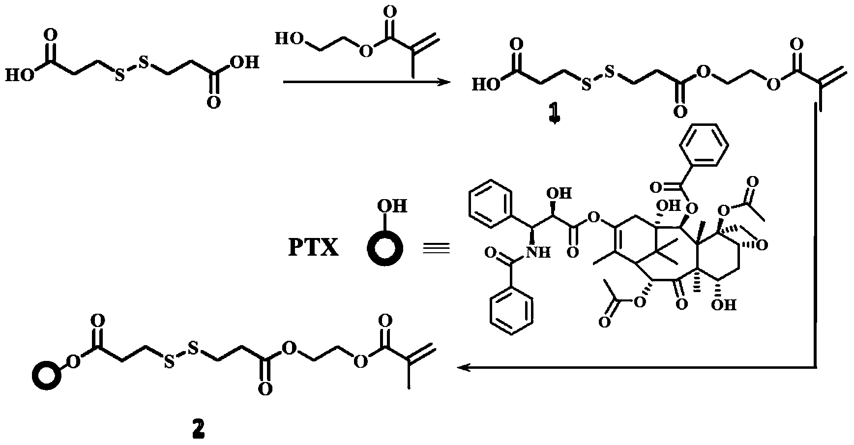 Disulfide bond-containing polymerizable taxol monomer and synthetic method thereof