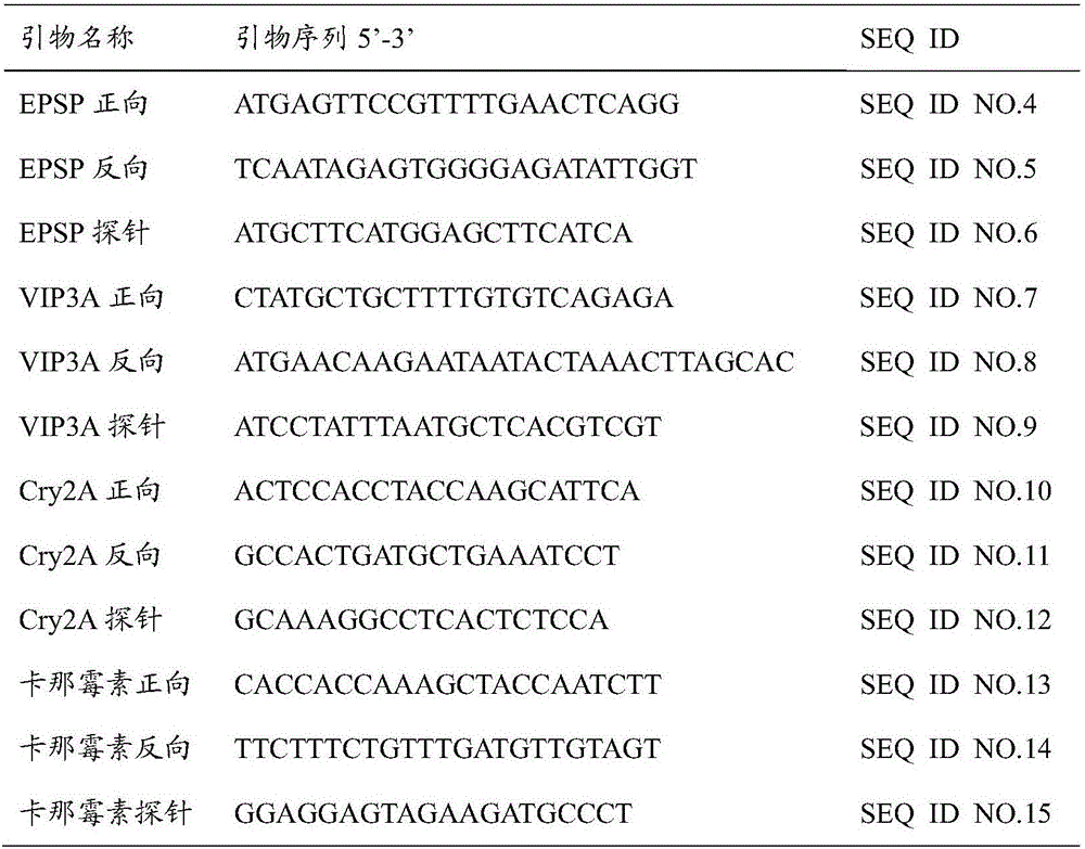 Polynucleotide of insect resistant plant resistant to herbicide, expression cassette including polynucleotide and application thereof