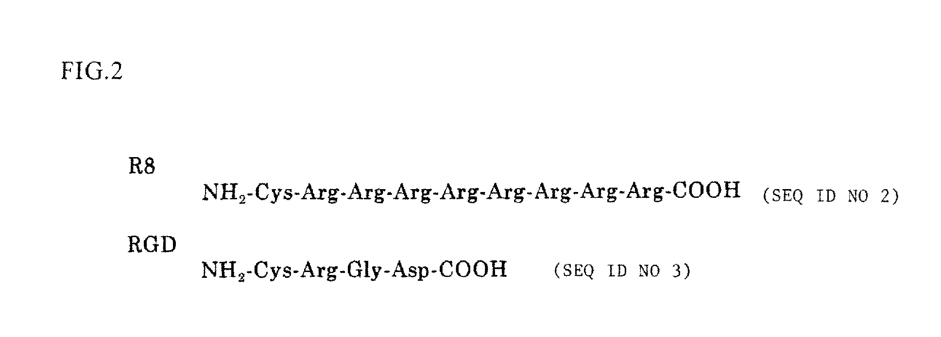 Immunostimulating agents