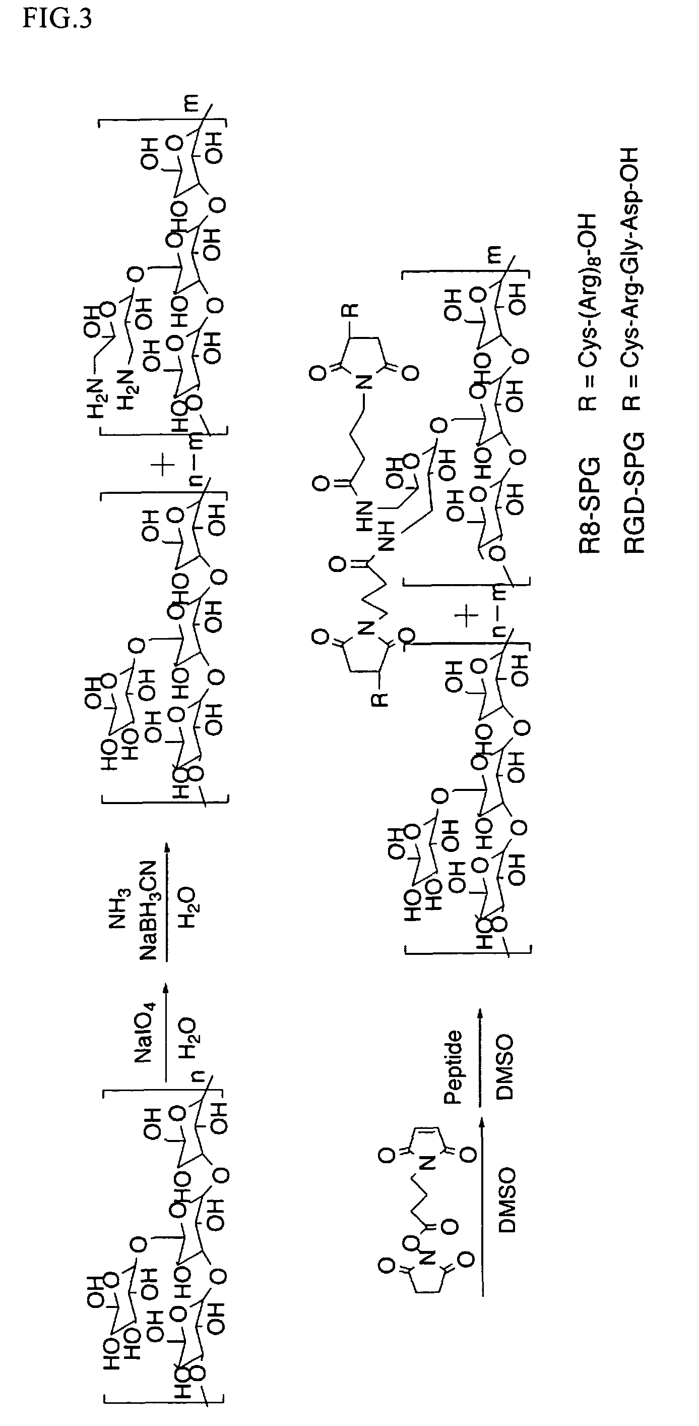 Immunostimulating agents