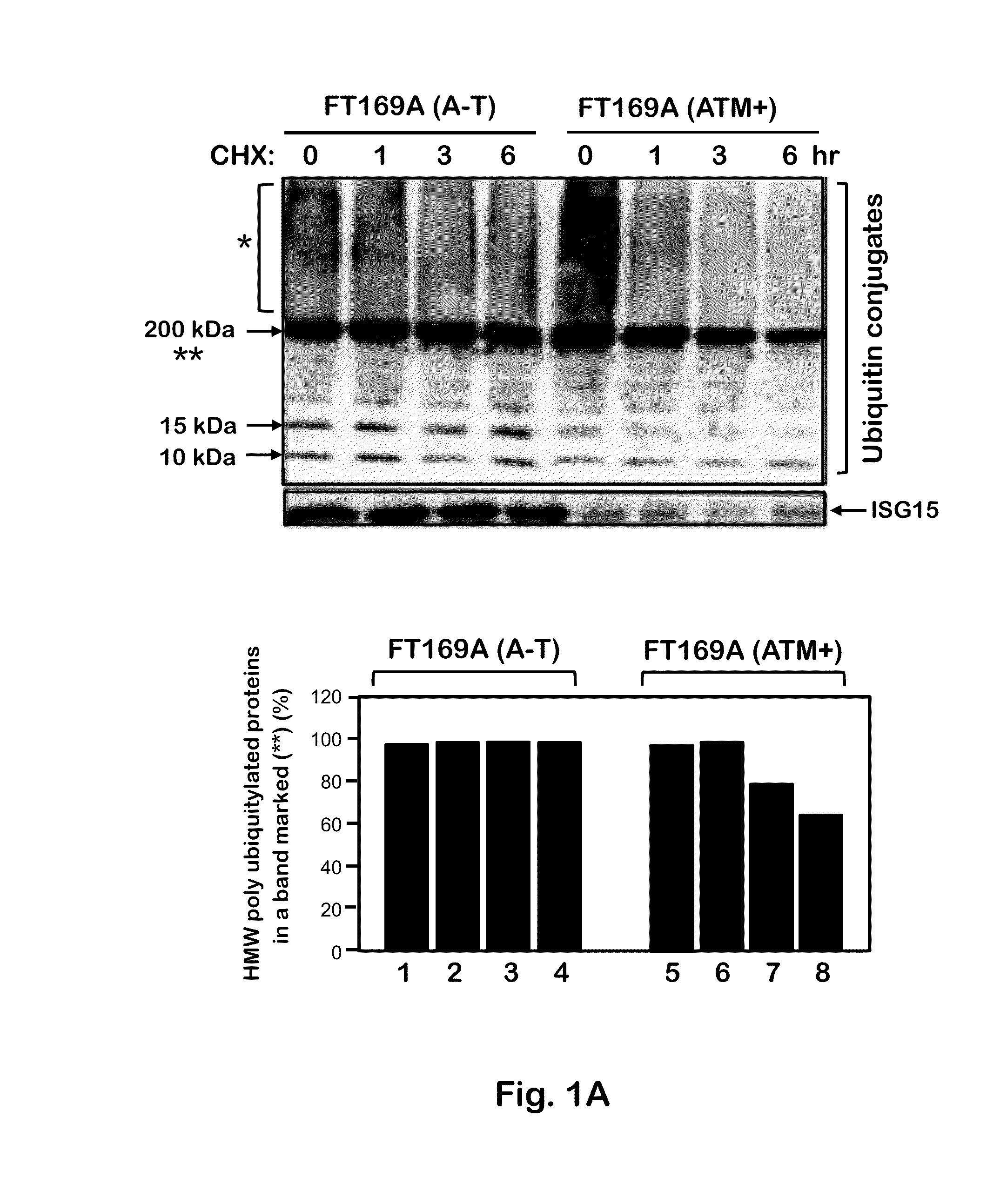 Therapeutic and Diagnostic Method for Ataxia-Telangiectasia