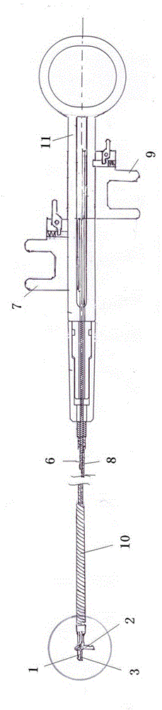 Double-end endoscope flexible pipe type sampling tongs