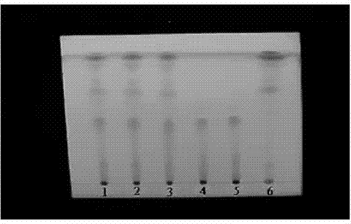 Method for detecting lung-heat clearing and cough relieving preparation