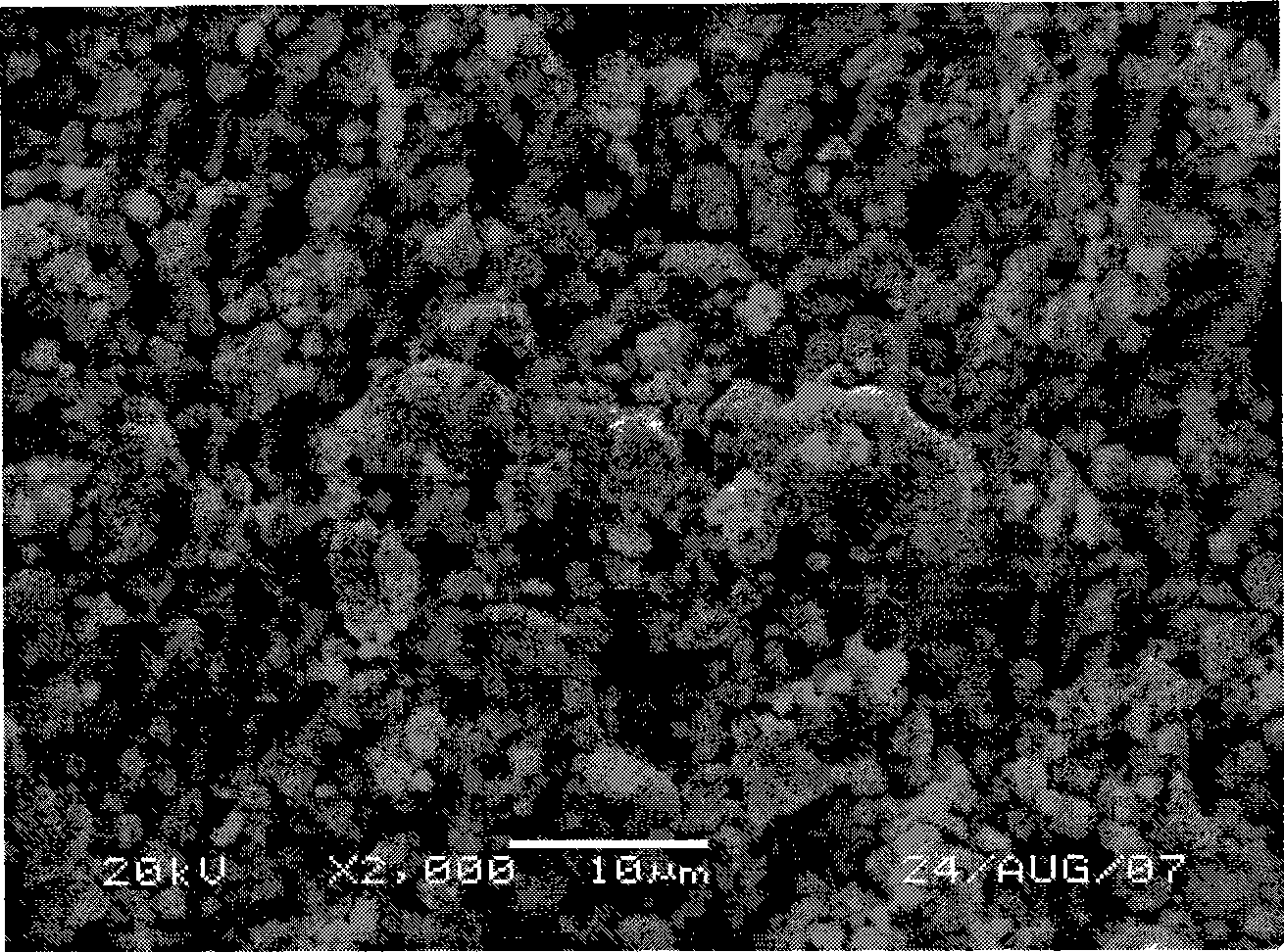 Lithium iron phosphate positive pole material