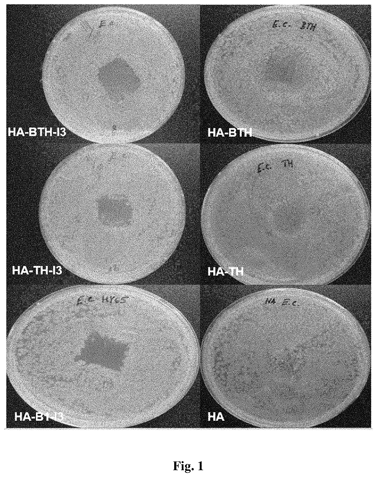 Antimicrobial composition comprising a polysaccharide,  a stabilizing agent and triiodide, method of preparation thereof and use thereof