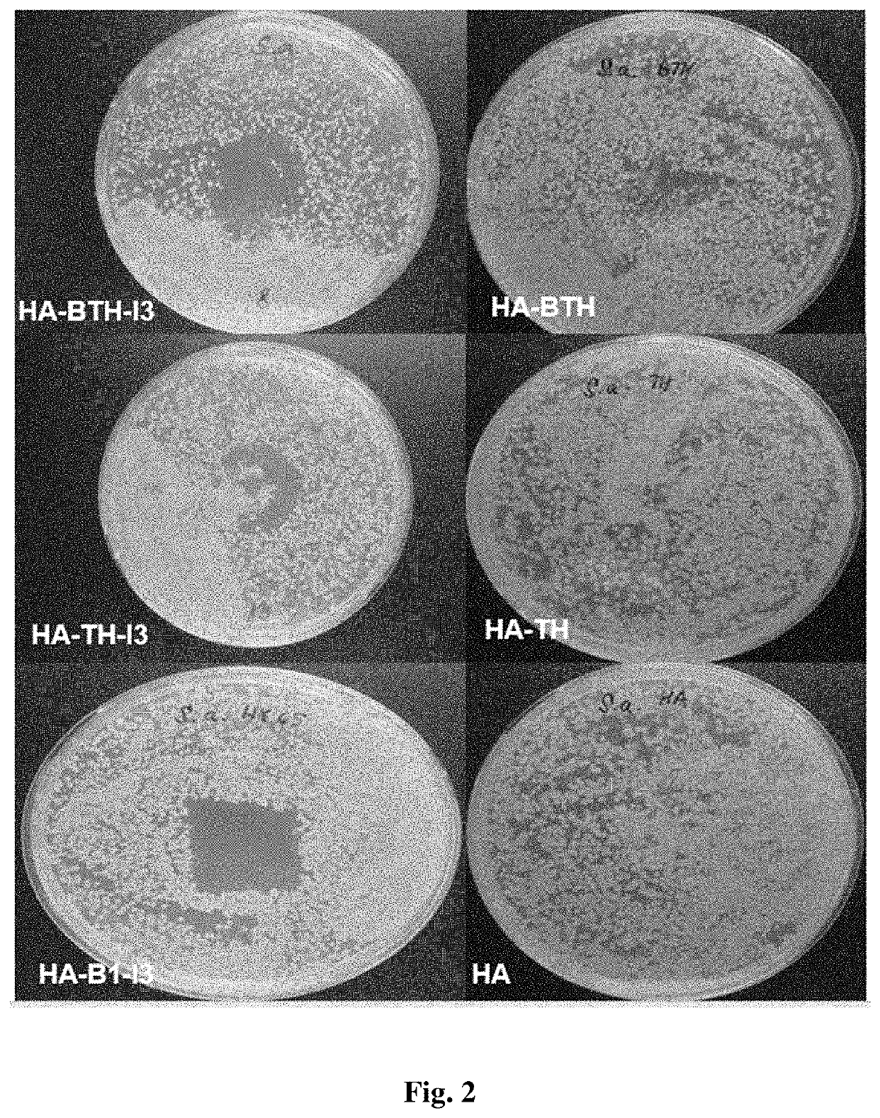 Antimicrobial composition comprising a polysaccharide,  a stabilizing agent and triiodide, method of preparation thereof and use thereof