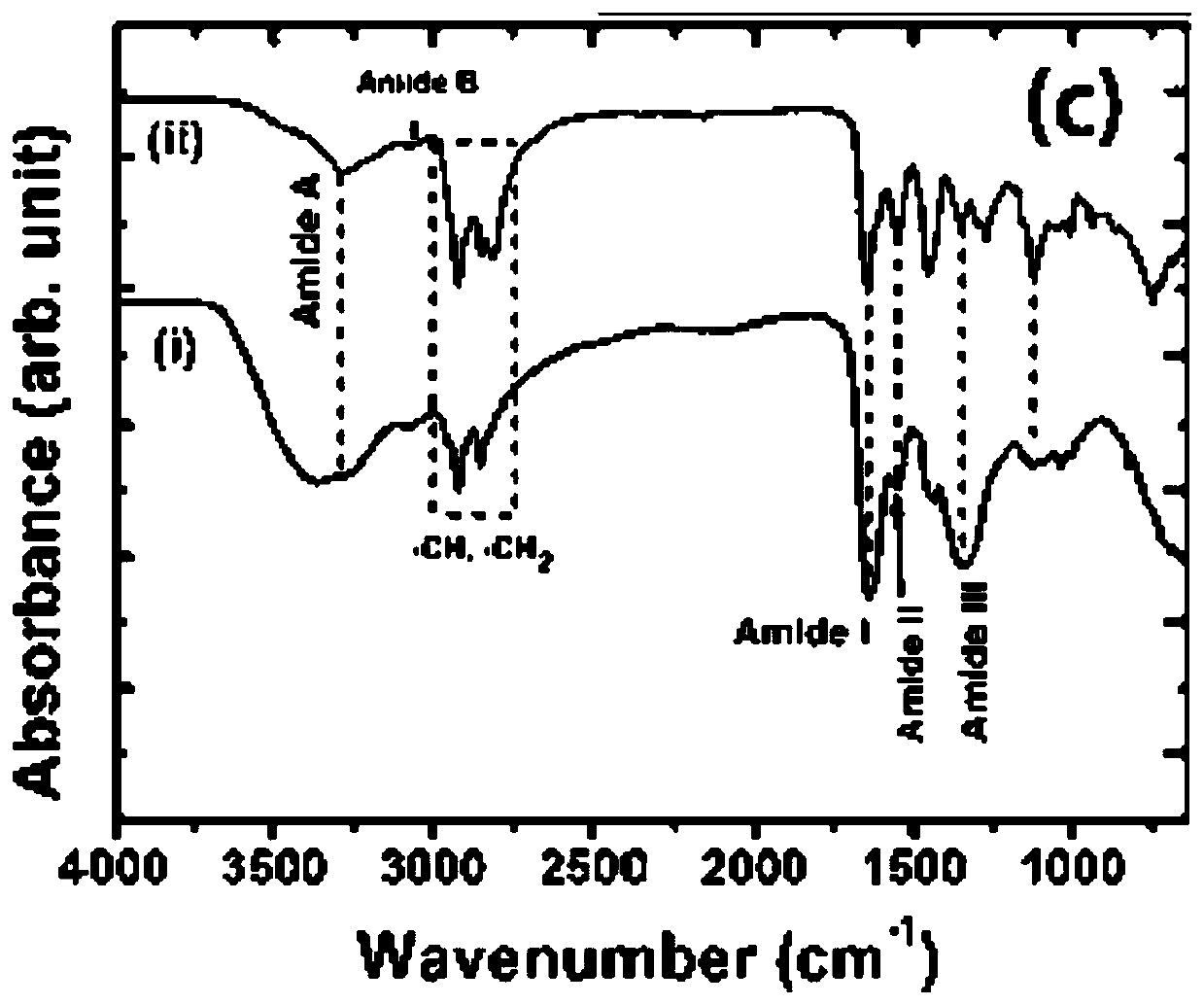 Nano gold-silver alloy solution having affinity for fibers and preparing method thereof