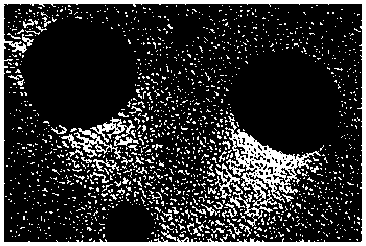 Nano gold-silver alloy solution having affinity for fibers and preparing method thereof