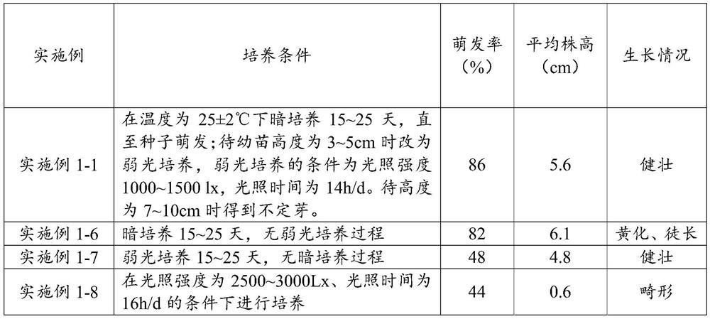 A kind of tissue culture method of linden seedlings