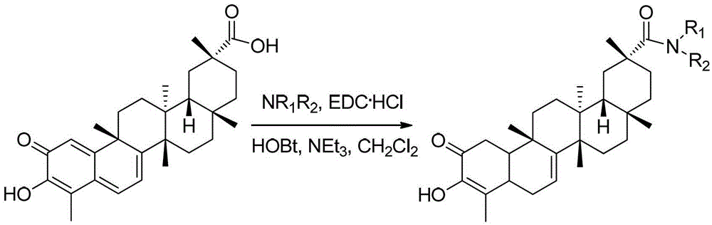 A kind of tripterine derivative, the biological salt of the derivative, its preparation method and application