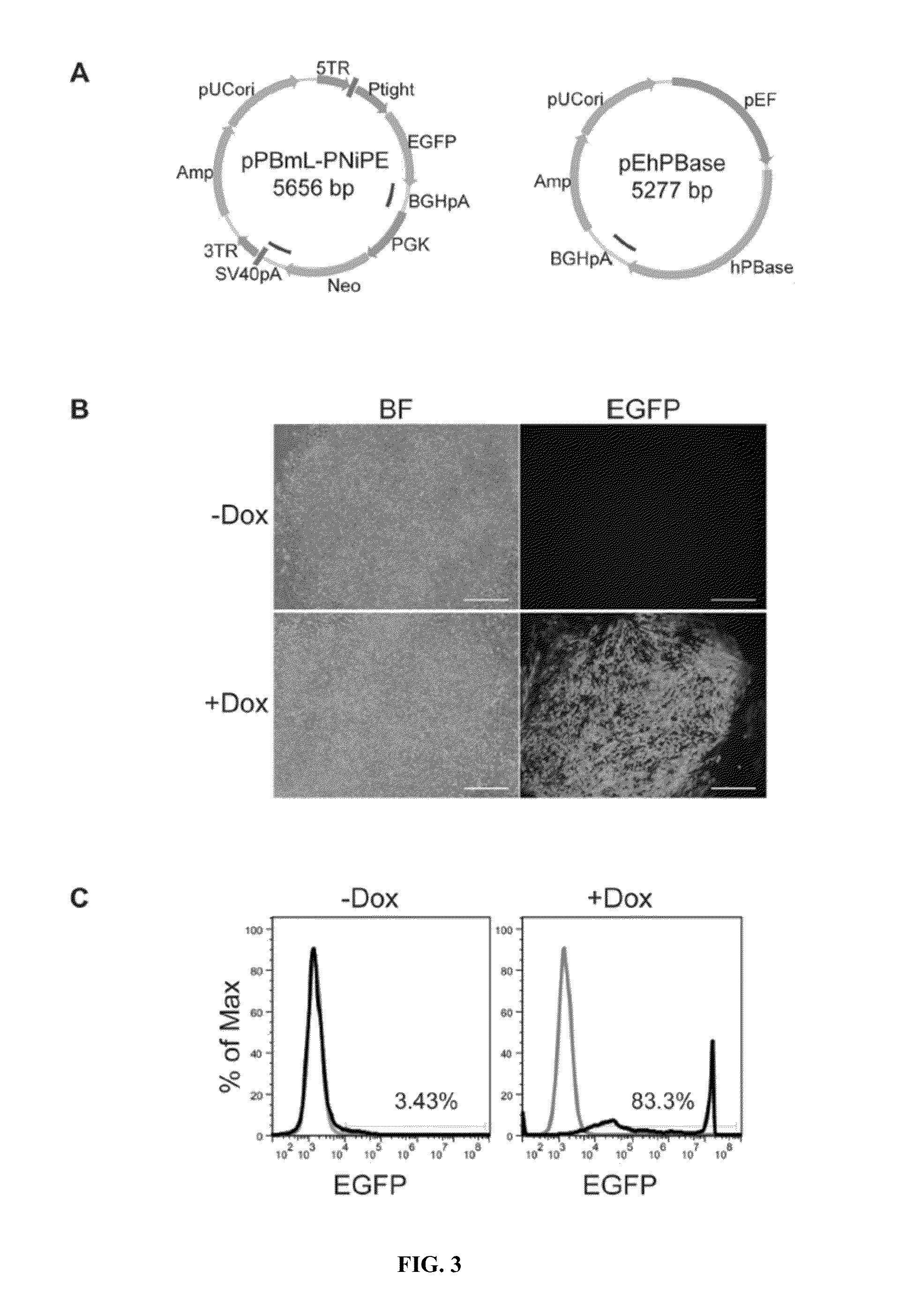 Hepatocyte production via forward programming by combined genetic and chemical engineering