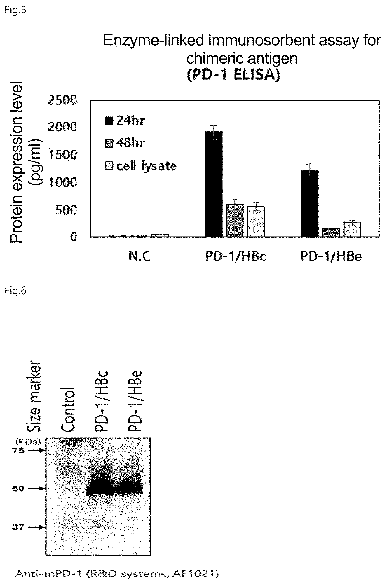 Chimeric antigen with enhanced multi-immune function through specific binding to target cell, and use thereof