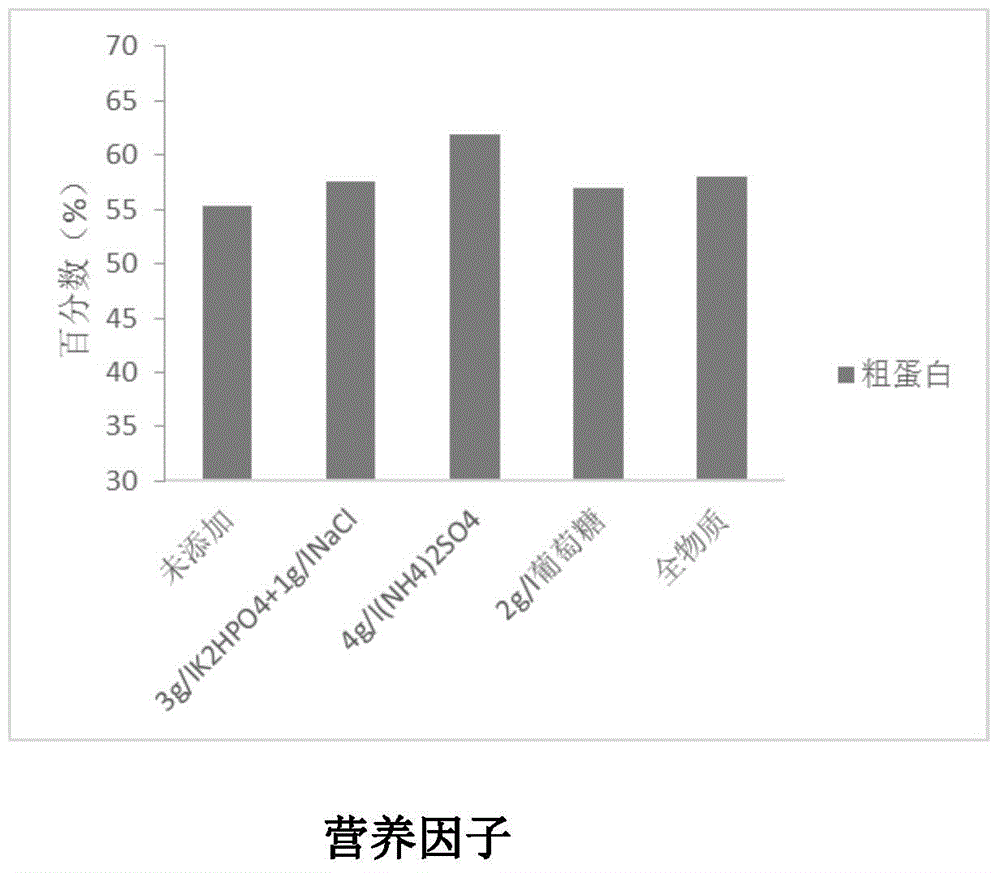 Fermented soybean meal, strain and application of fermented soybean meal