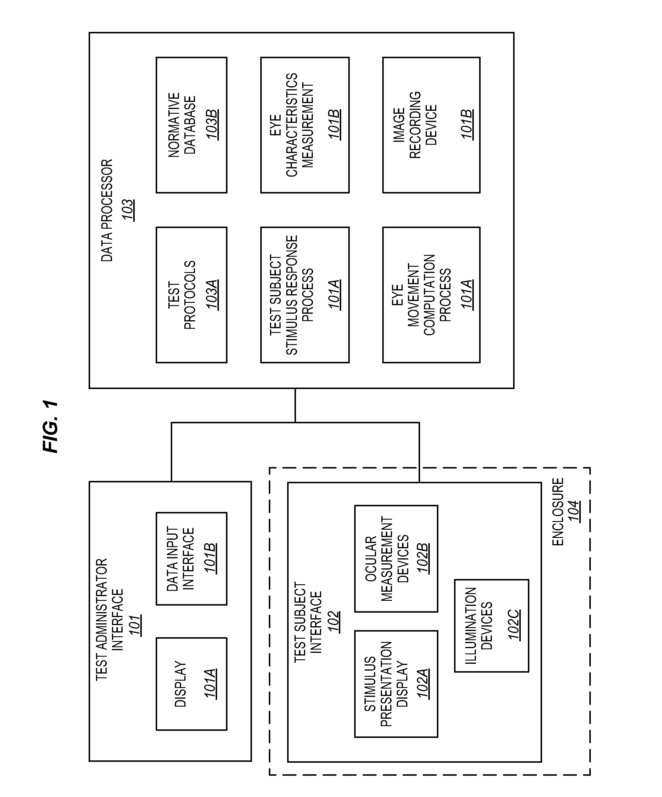 System for the physiological evaluation of brain function