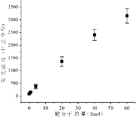 Method for detecting miRNA (micro ribonucleic acid) based on graphene/nucleic acid dye platform