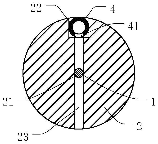 Device for treating anal fistula