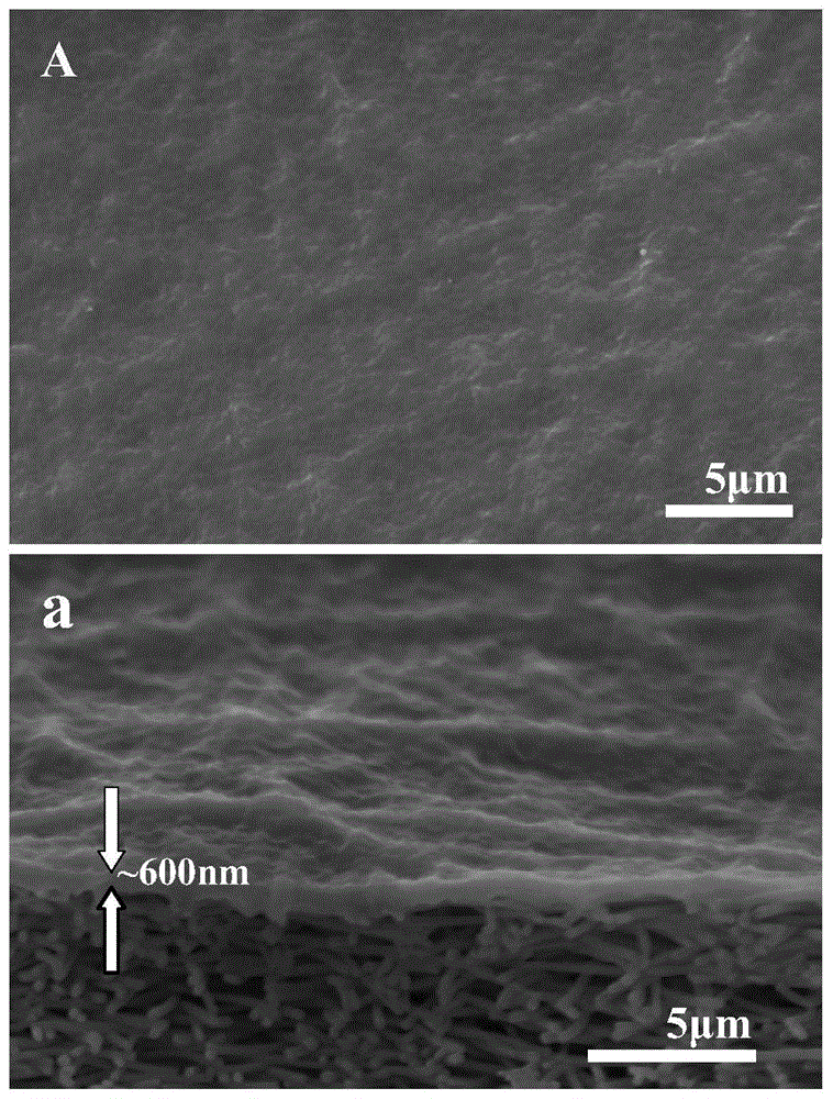 Heparinoid-modified polyvinyl alcohol hydrogel thin nano-compound hematodialysis film and preparation method thereof