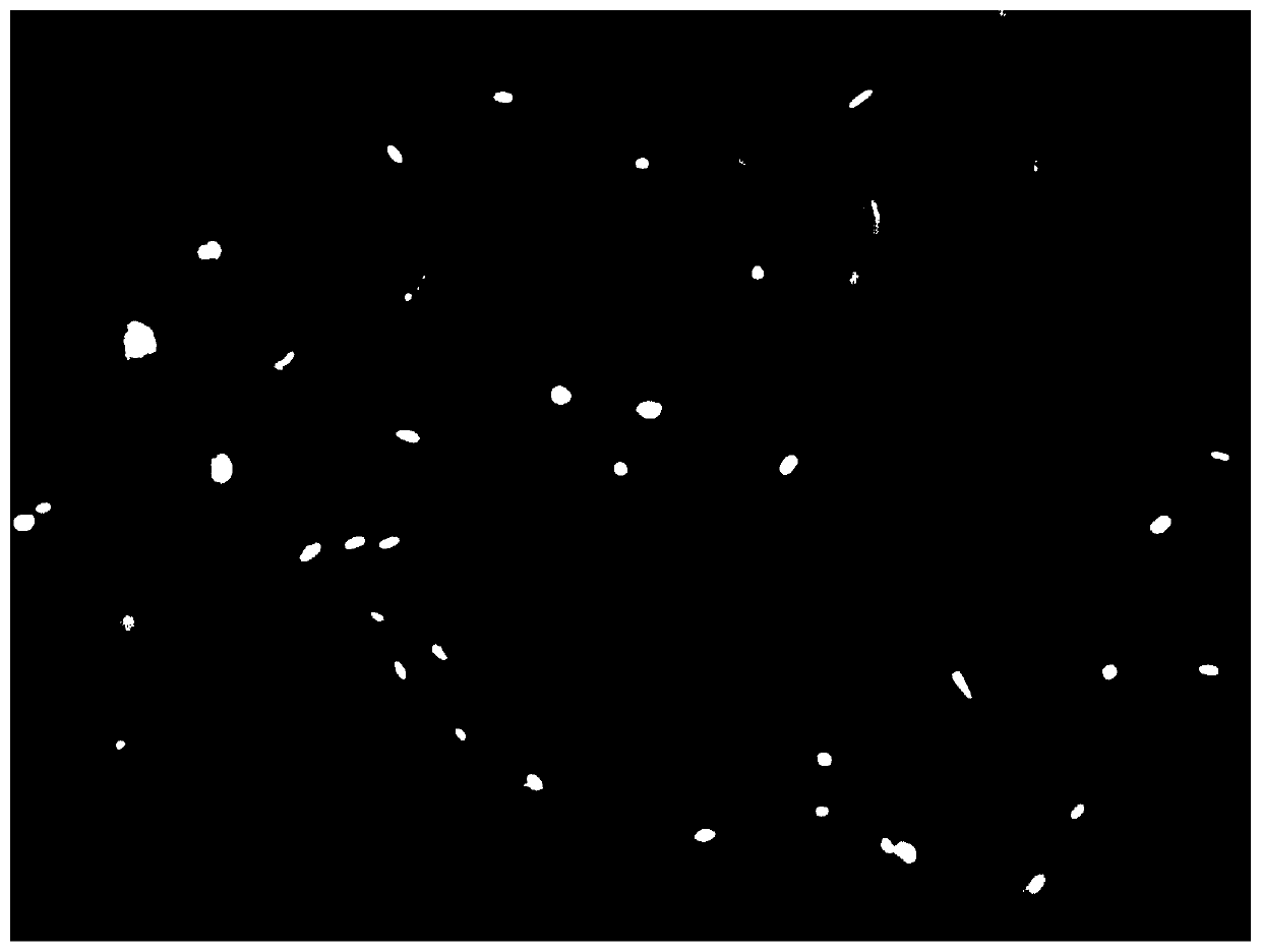 Polypeptide reagent for activating human immune cells