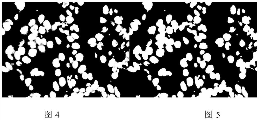 Cell nucleus segmentation method and system for fluorescence in situ hybridization images