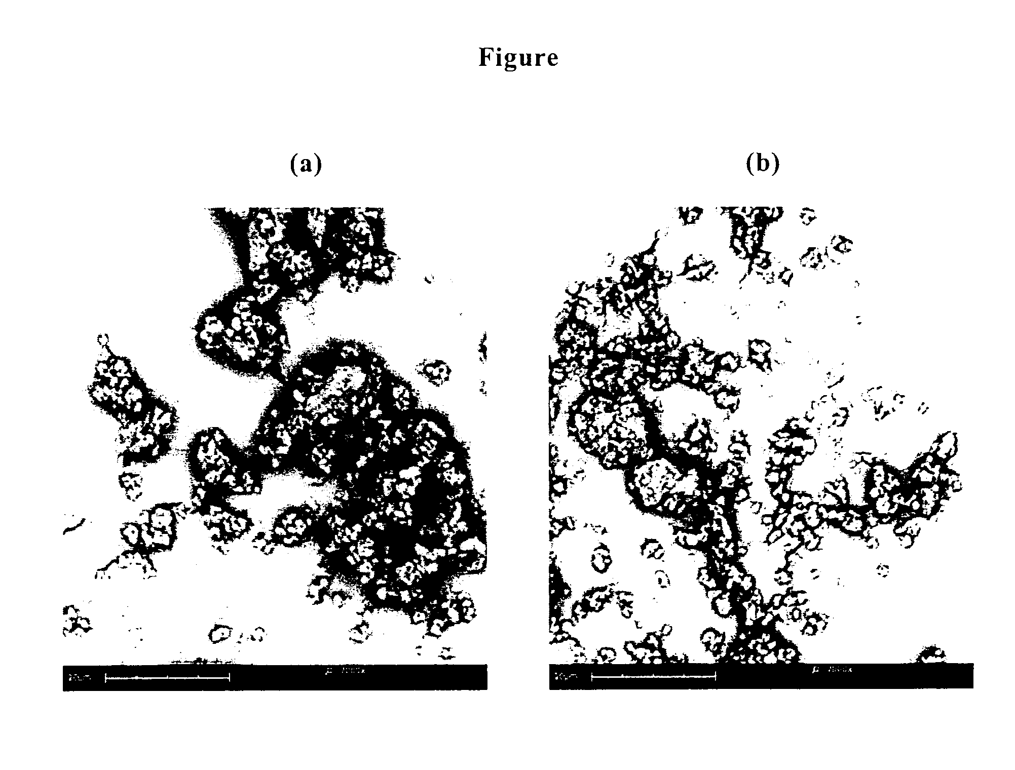 Antibiotic microparticles for inhalation