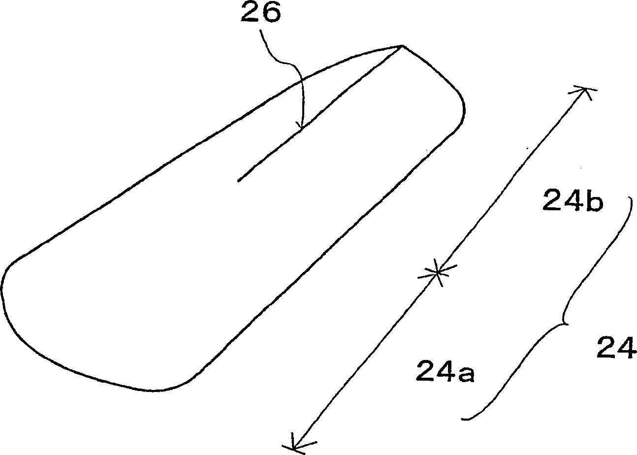 Inter-Labium pudenda pad and package body for the pad