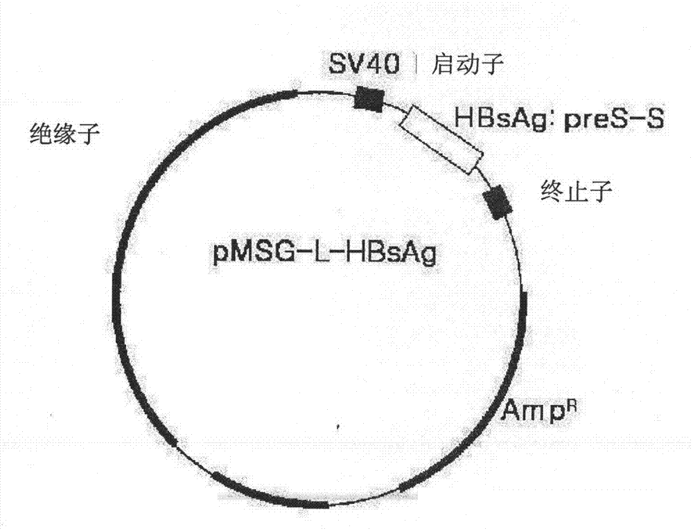 Hepatitis b vaccine and preparation technology thereof