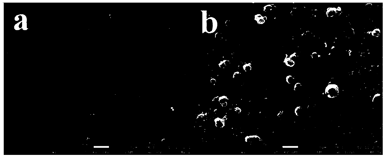 Preparation method and application of PVDF/UiO-66-NH2 imprinted composite membrane