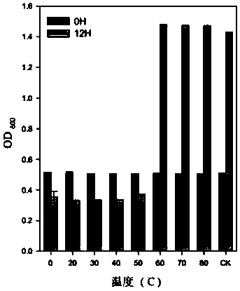 Lytic phage strain capable of preventing and controlling tomato bacterial wilt and applications of lytic phage strain