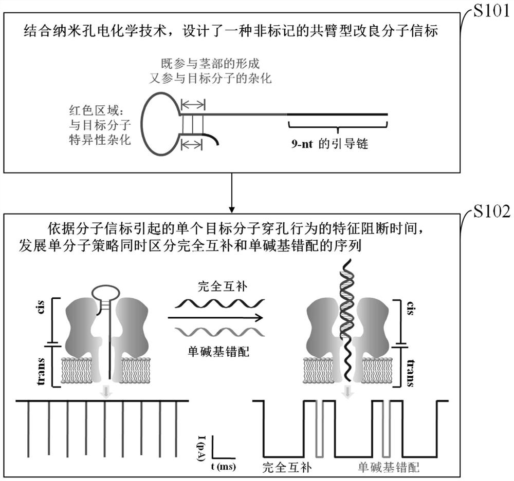 A method for simultaneously distinguishing single-base mismatches at the single-molecule level