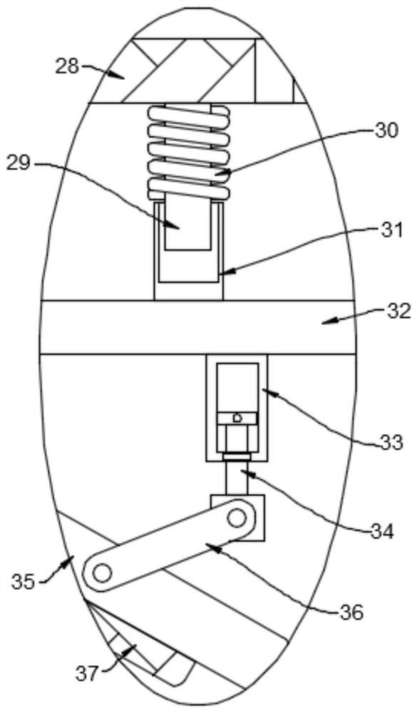 A kind of protective stent device for hemodialysis puncture site